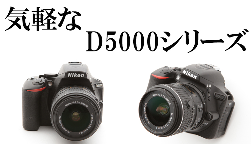 シルバー/レッド Nikon デジタル一眼レフカメラ D5000 ボディ D5000