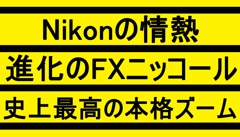 Nikon AF-S NIKKOR 70-200mm F2.8G ED VR II