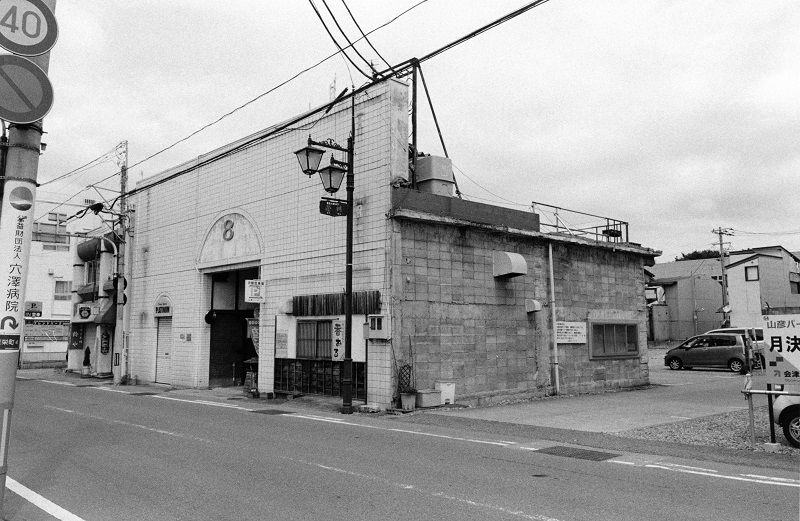 Bergger Pancro 400