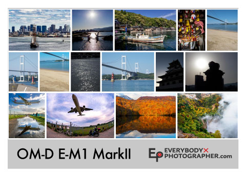 OM-E E-M1 Mark II エビフォト