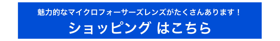 レンズ一覧はこちら