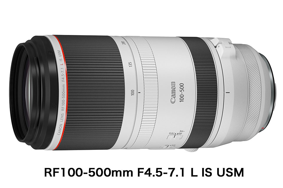 Canon RF 100-500mm F4.5-7.1 L IS USM