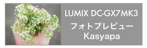 LUMIX GX7 Mk3 Kasyapa