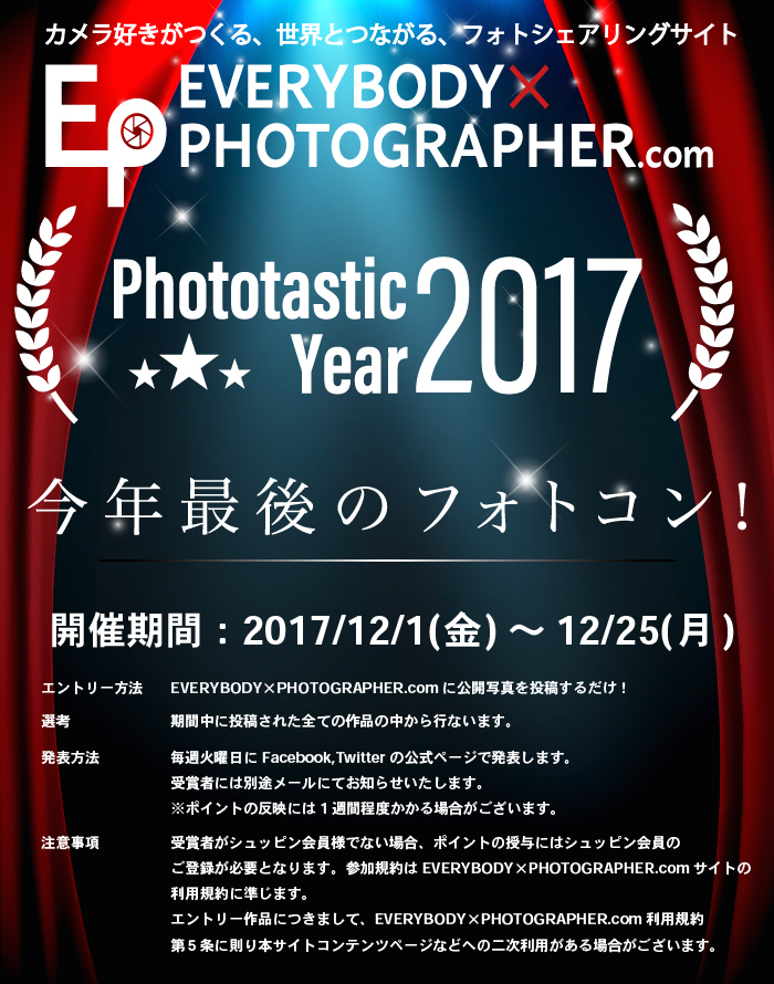 今年最後のフォトコン