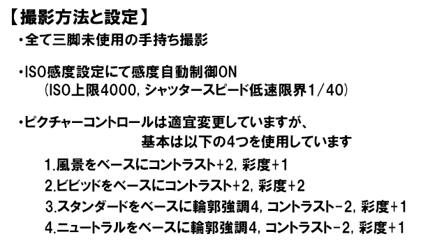 Nikon (ニコン) D610＋Nikon (ニコン) AF-S NIKKOR 35mm F1.8G ED