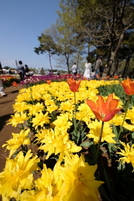 FUJIFILM X-E3 XF8-16mm F2.8 R LM WR 