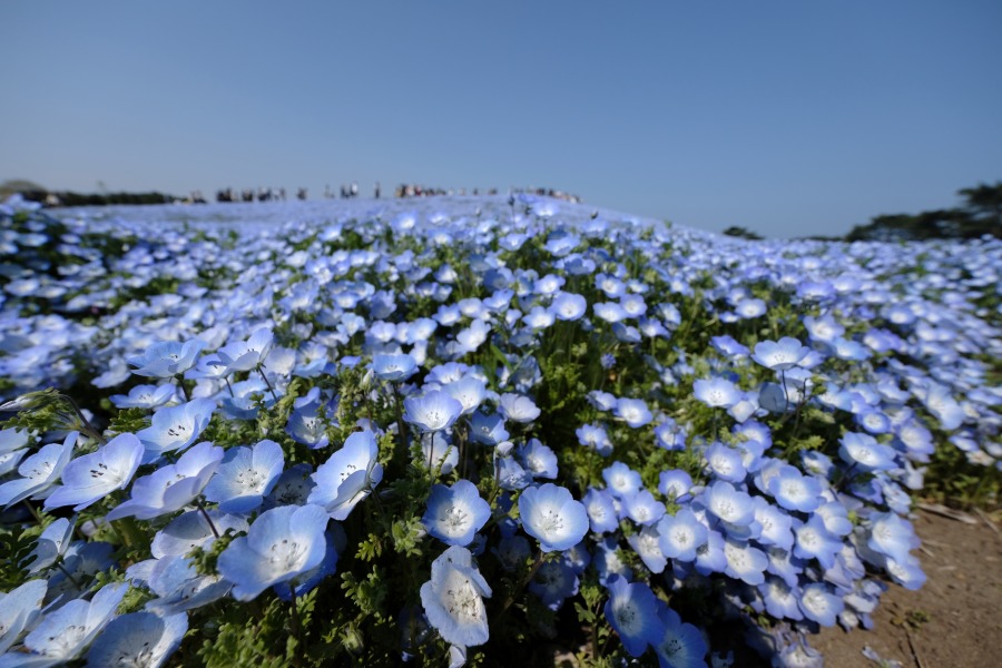 FUJIFILM X-E3 XF8-16mm F2.8 R LM WR 