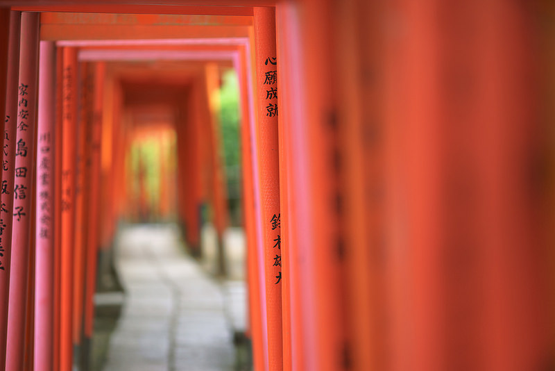 SONY α7 + SIGMA MC-11 + Canon EF 135mmF2L