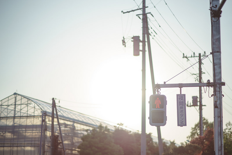 Leica (ライカ) ズミルックス M75mm F1.4