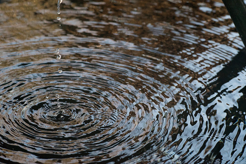 α7SII + Planar T*100mm F2