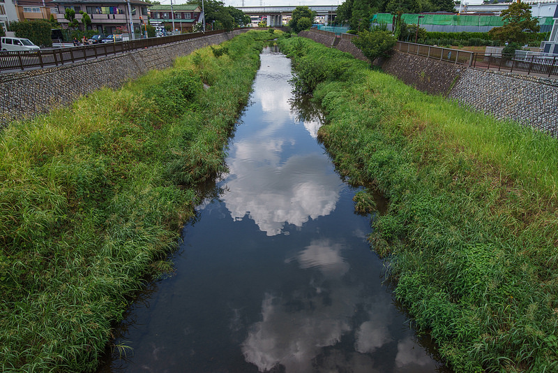 Distagon T* 24mm F2 ZA SSM 