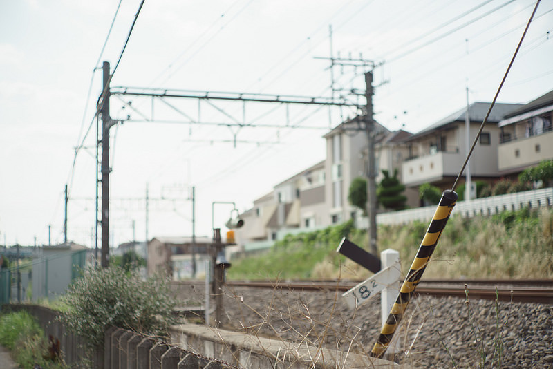 Leica (ライカ) ズミルックス M50mm F1.4 後期型