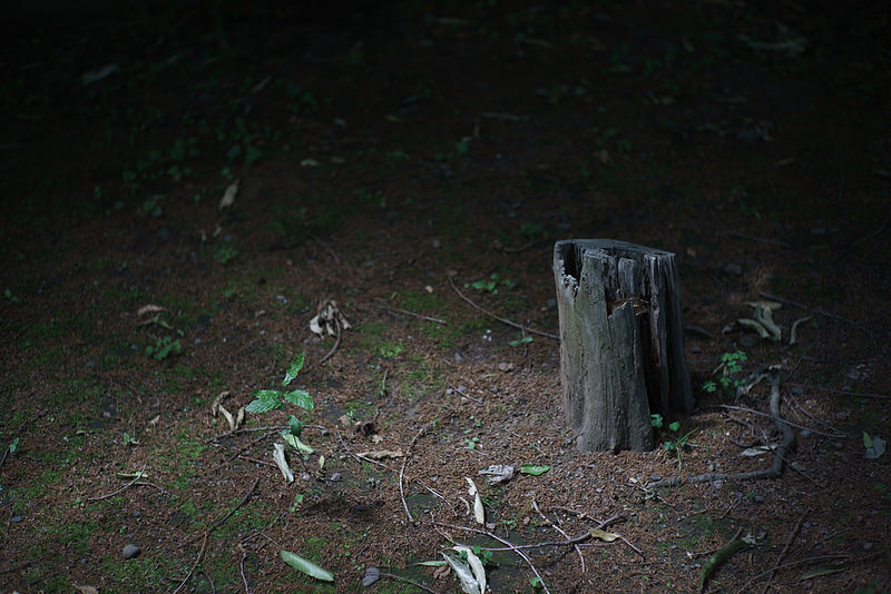 Leica (ライカ) ズミルックス M50mm F1.4 後期型