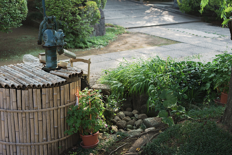 Carl Zeiss (カールツァイス) Loxia 50mm F2