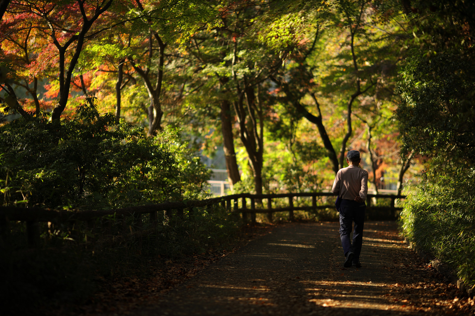 EOS R + EF135mm F2L USM EOS R + EF135mm F2L USM