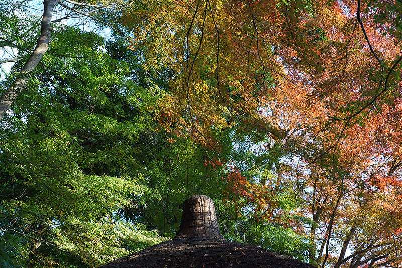 MINOLTA (ミノルタ) MD 50mm F1.7 