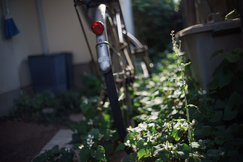 Leica (ライカ) ズミクロン M35mm F2 (6枚玉)