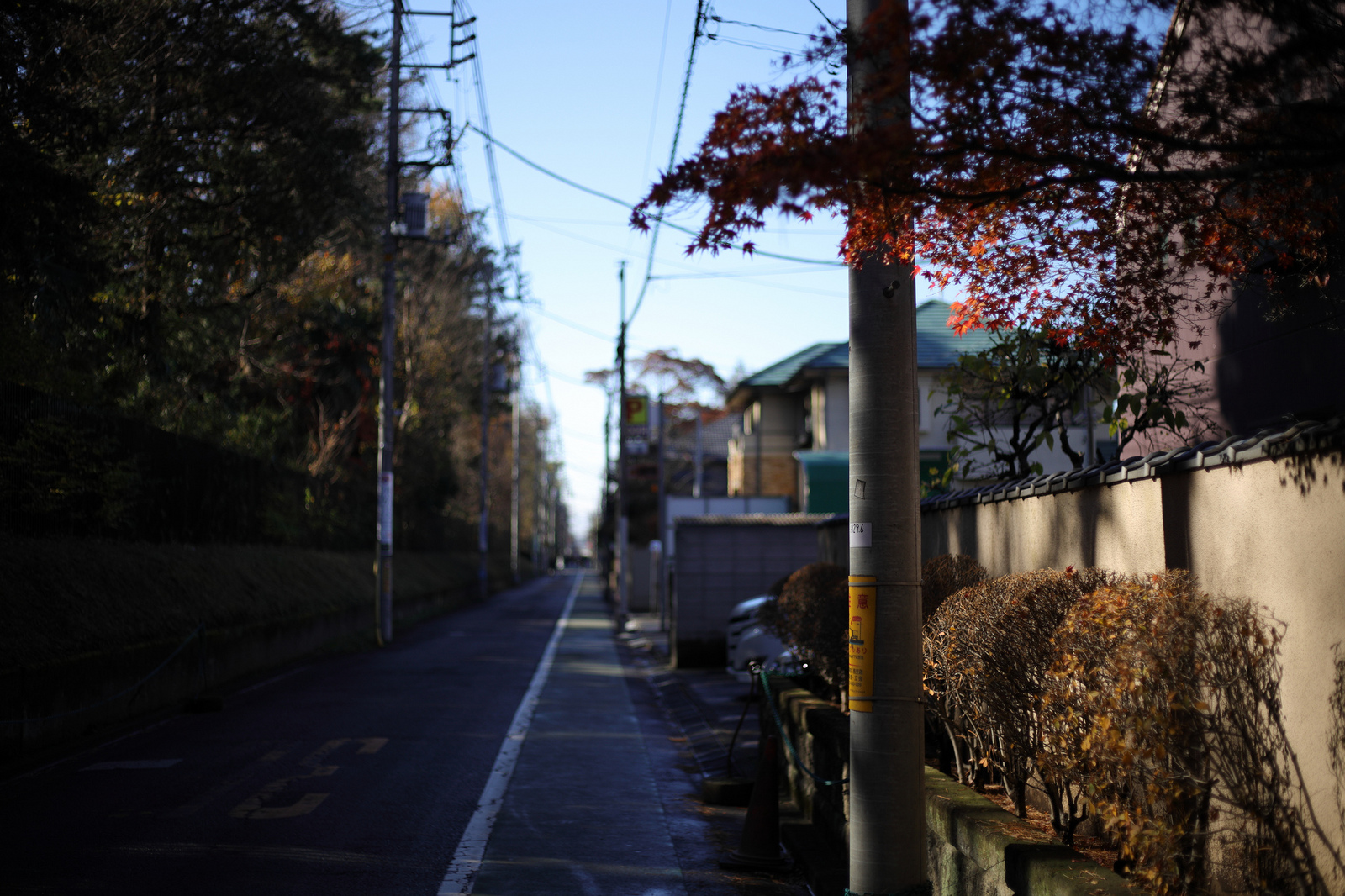 EOS R + EF50mm F1.8 STM