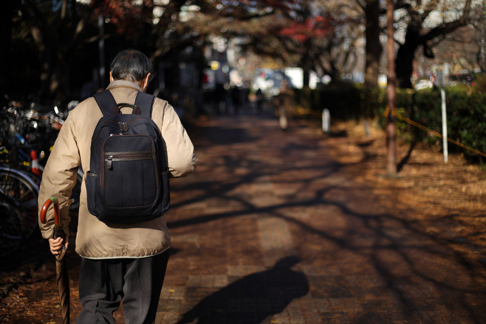 EOS R + EF50mm F1.8 ST