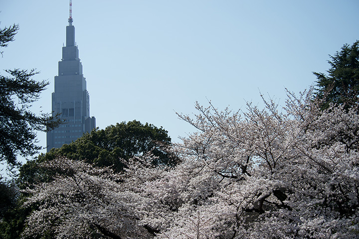 Nikon AF VR80-400mm F4.5-5.6D ED