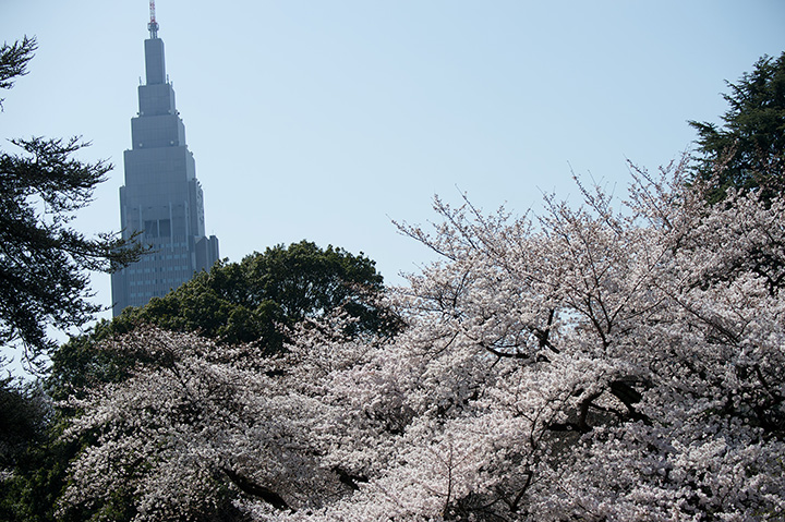 Nikon AF-S 80-400mm F4.5-5.6G ED VR