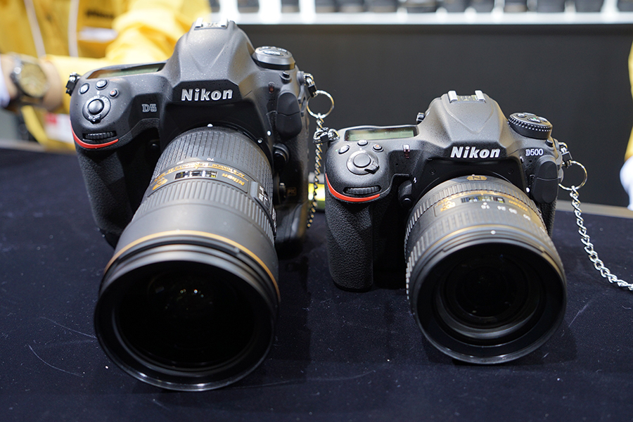 Nikon DL