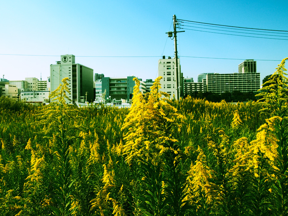 OLYMPUS PEN Lite E-PL5 + M.ZUIKO DIGITAL 14-42mm F3.5-5.6 Ⅱ R