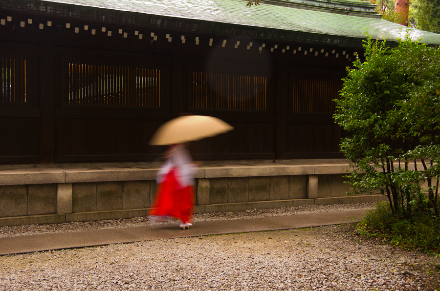 PENTAX K-5IIs + DA 18-135mm F3.5-5.6ED AL(IF)DC WR