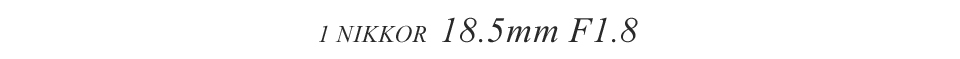 Nikon 1 NIKKOR 18.5mm F1.8