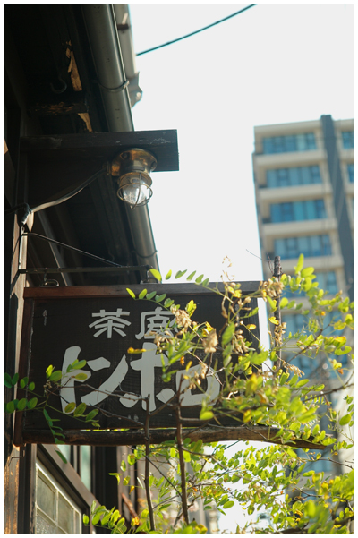 LEICA M9-P + Summicron 5cm / f2