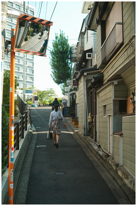 LEICA M9-P + Summicron 5cm / f2