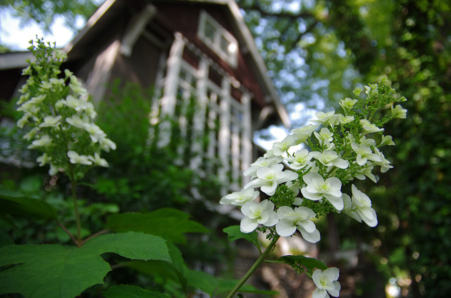 PENTAX DA*16-50mm F2.8ED AL [IF] SDM