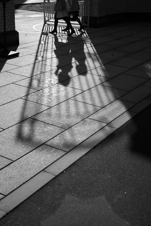 LEICA M + ELCAN 50mm/f2.0