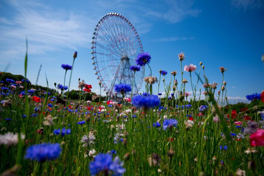 Nikon D600 + AF-S NIKKOR 18-35mm f/3.5-4.5G ED