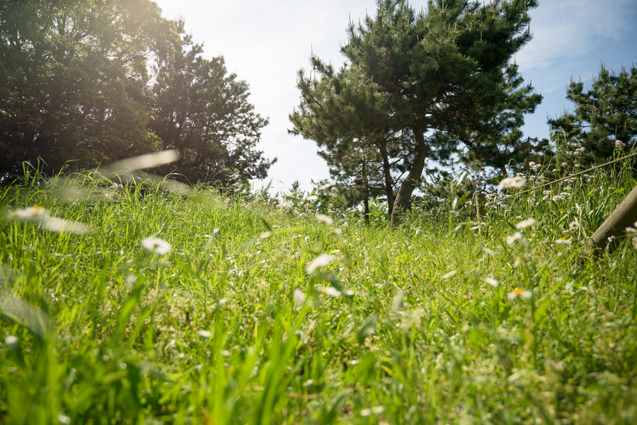 Nikon D600 + AF-S NIKKOR 18-35mm f/3.5-4.5G ED