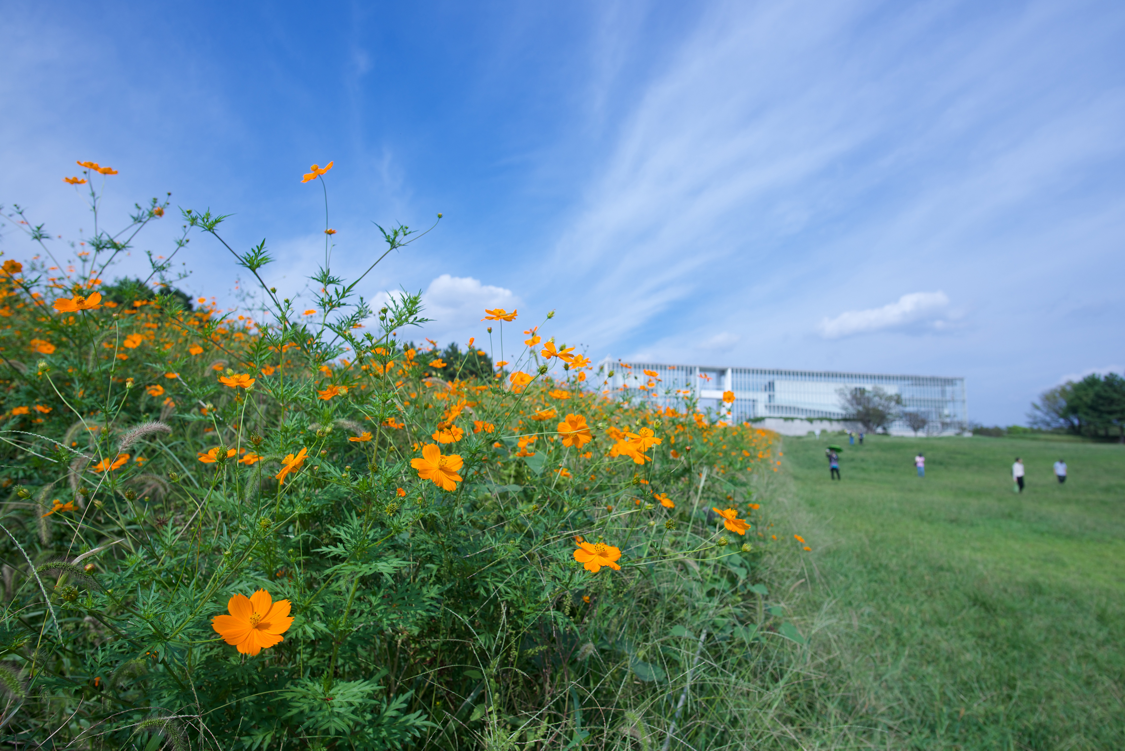 AF-S NIKKOR 20mm f/1.8G ED 広角単焦点レンズ