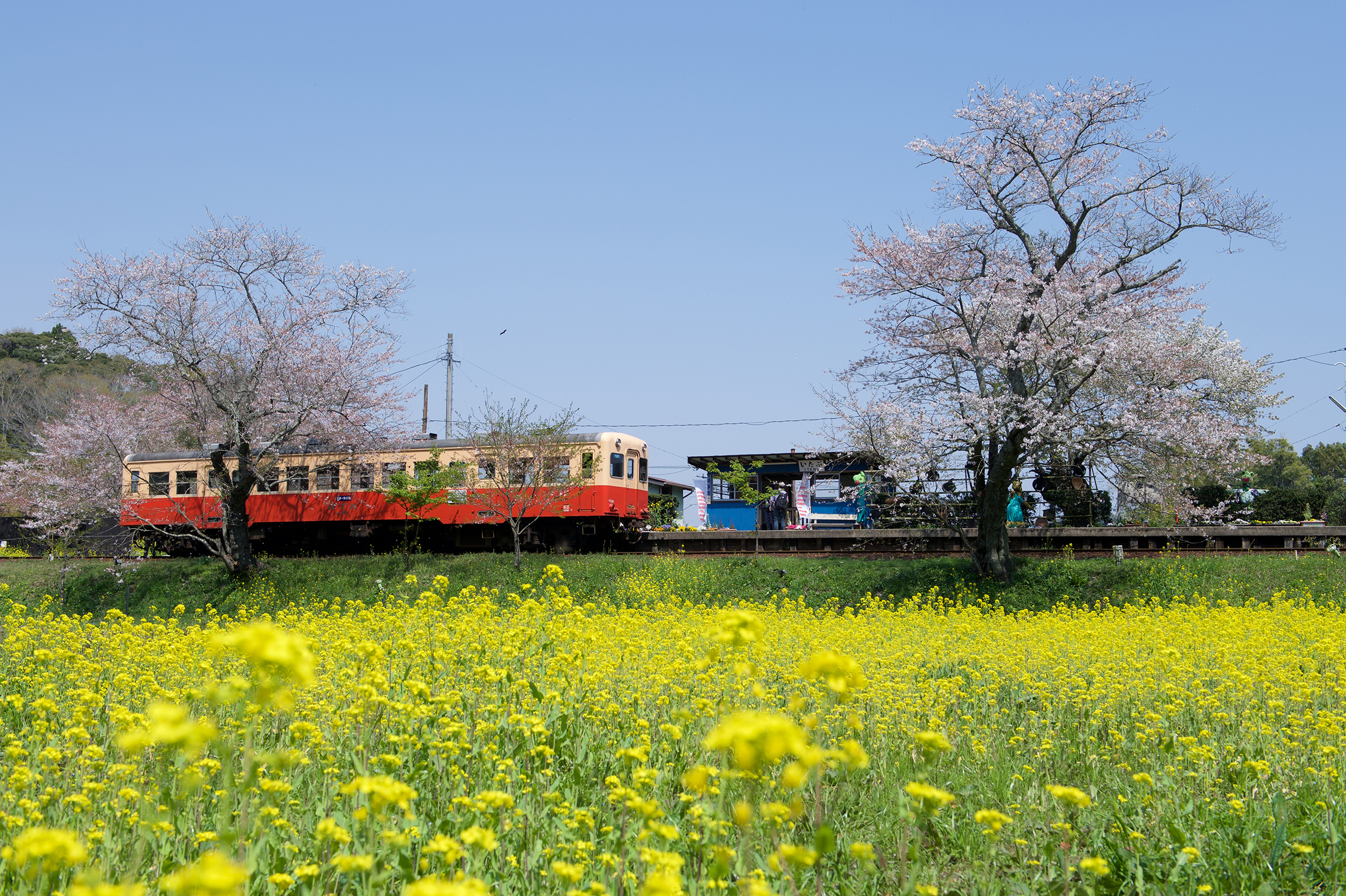 264:『Nikon AF-S 24-70mm F2.8G ED』 | KASYAPA