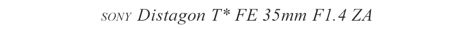 SONY Distagon T* FE 35mm F1.4 ZA & AF-S 85mm F1.8G