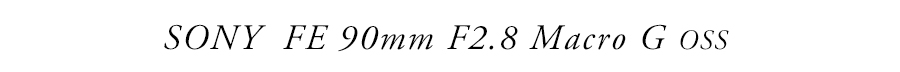 SONY FE 90mm F2.8 Macro G OSS SONY FE 90mm F2.8 Macro G OSS
“>
</center></p>
<p>
今回ご紹介するレンズはCP+2015で参考出品されていた『SONY FE 90mm F2.8 Macro G OSS』です。
カメラ好きの皆さんはこの“G”の文字に反応したのではないでしょうか。ミノルタ時代から続く高性能レンズのみに与えられる“G”の称号は、ZEISS銘と共にソニーのレンズブランドを支える2本の柱の1つと言っていいでしょう。しかも今回はFEマウント初のマクロレンズです。このジャンルは各メーカーの個性やこだわりが見えやすいですからね、どのような描写を見せてくれるか楽しみです。</p>
<p>まず一枚目のカットから。ラベンダーの花へ蜜を吸いに来たミツバチを撮りました。はじめはF2.8で撮影していたのですが、被写界深度が浅すぎて動き回るミツバチをうまく捉えられず、F4で何とか撮ることができました。描写はさすがGレンズ、フォーカス部の解像力が非常に高いのがわかります。しかしながら線に角があるような硬い印象はなく、ボケ味も含め全体的に滑らかな絵作りはミノルタレンズの写りを思わせる美しさです。</p>
<p>
<center>
<a href=