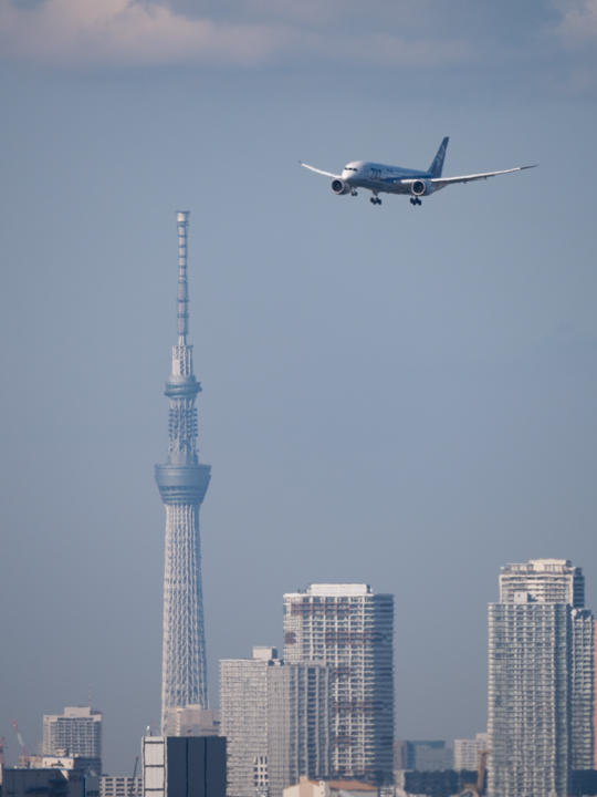 Panasonic (パナソニック) LEICA DG VARIO-ELMAR 100-400mm F4.0-6.3 ASPH. POWER O.I.S.