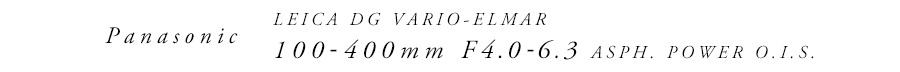 Panasonic (パナソニック) LEICA DG VARIO-ELMAR 100-400mm F4.0-6.3 ASPH. POWER O.I.S.