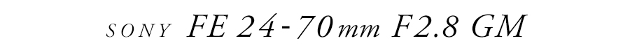 SONY (ソニー) FE 24-70mm F2.8 GM SEL2470GM