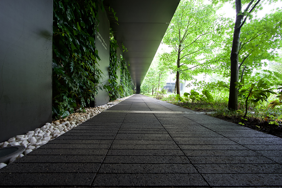 Voigtlander SUPER WIDE-HELIAR 15mm F4.5 ASPH III