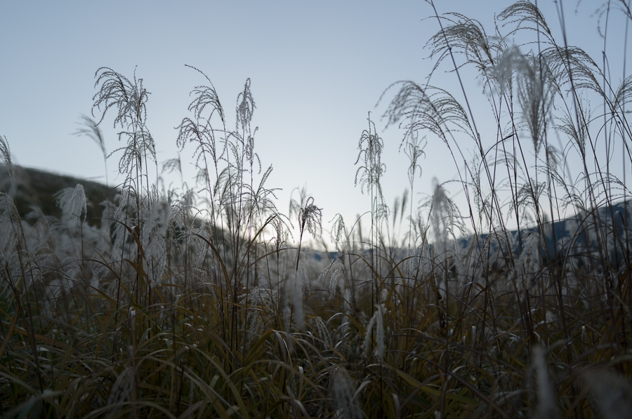 Leica (ライカ) S(Typ007)　+　エルマリート S 30mm F2.8 ASPH.