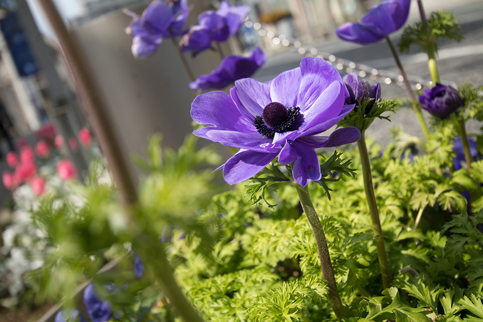 TAMRON (タムロン) 10-24mm F3.5-4.5 DiII VC HLD B023E（キヤノン用）