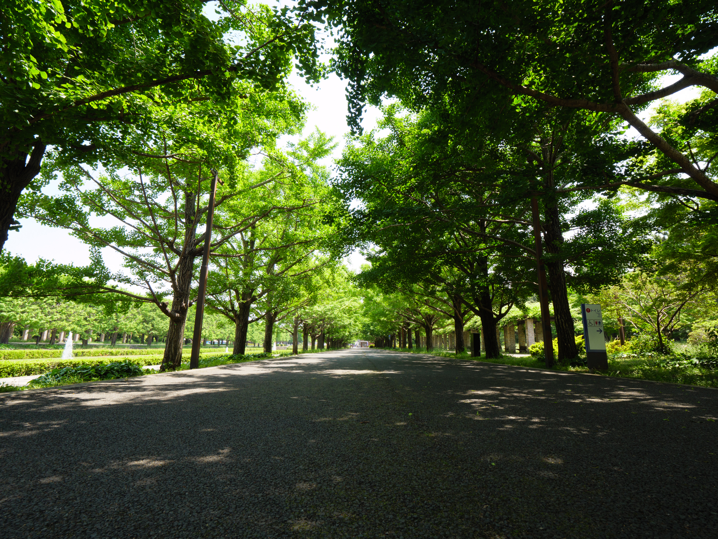 421:『Panasonic LEICA DG VARIO-ELMARIT 8-18mm F2.8-4.0 ASPH