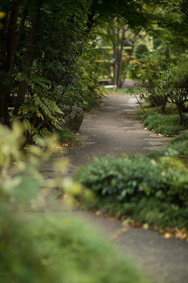 Canon (キヤノン) EF85mm F1.2L II USM