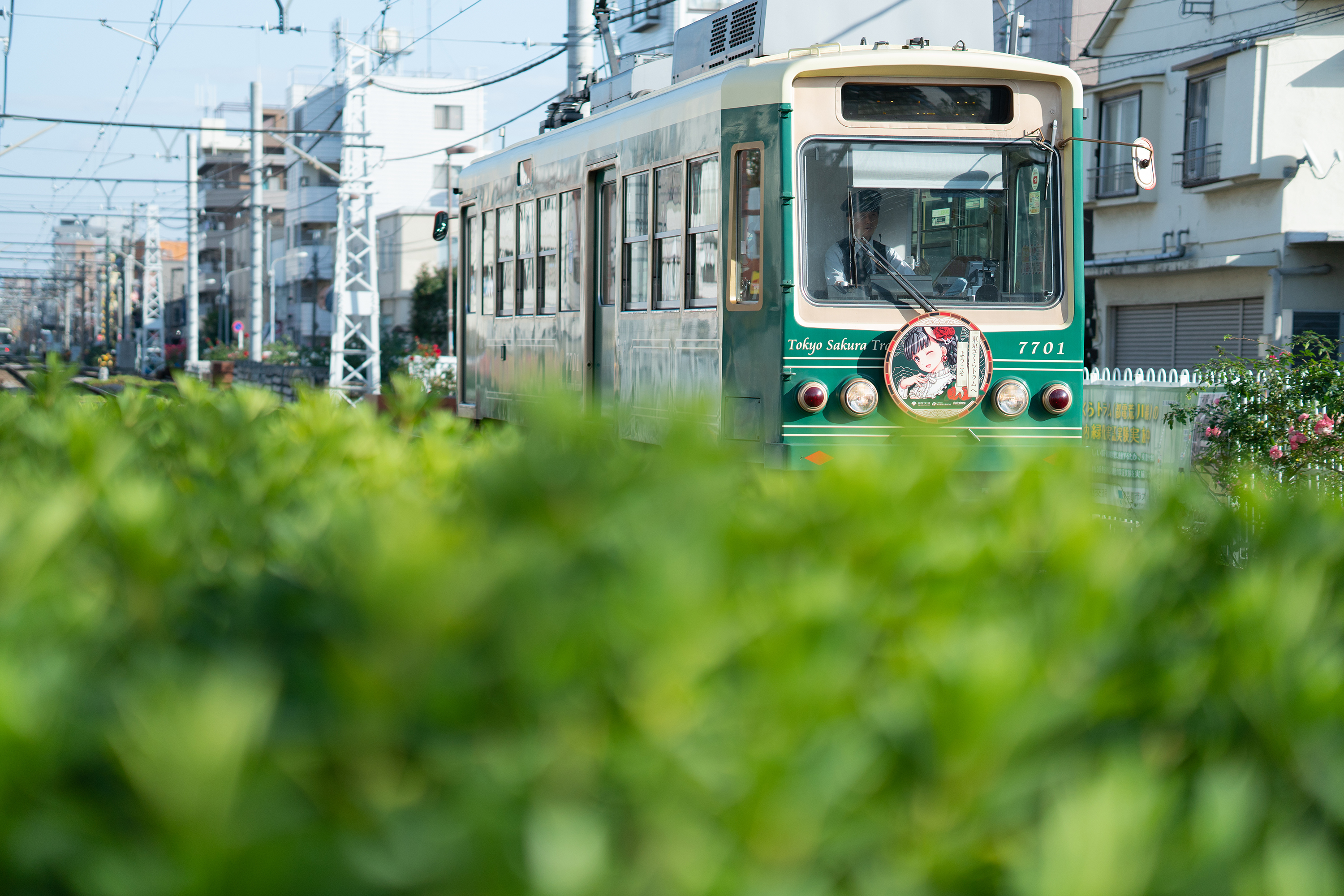 503:『SIGMA C 56mm F1.4 DC DN』 | KASYAPA