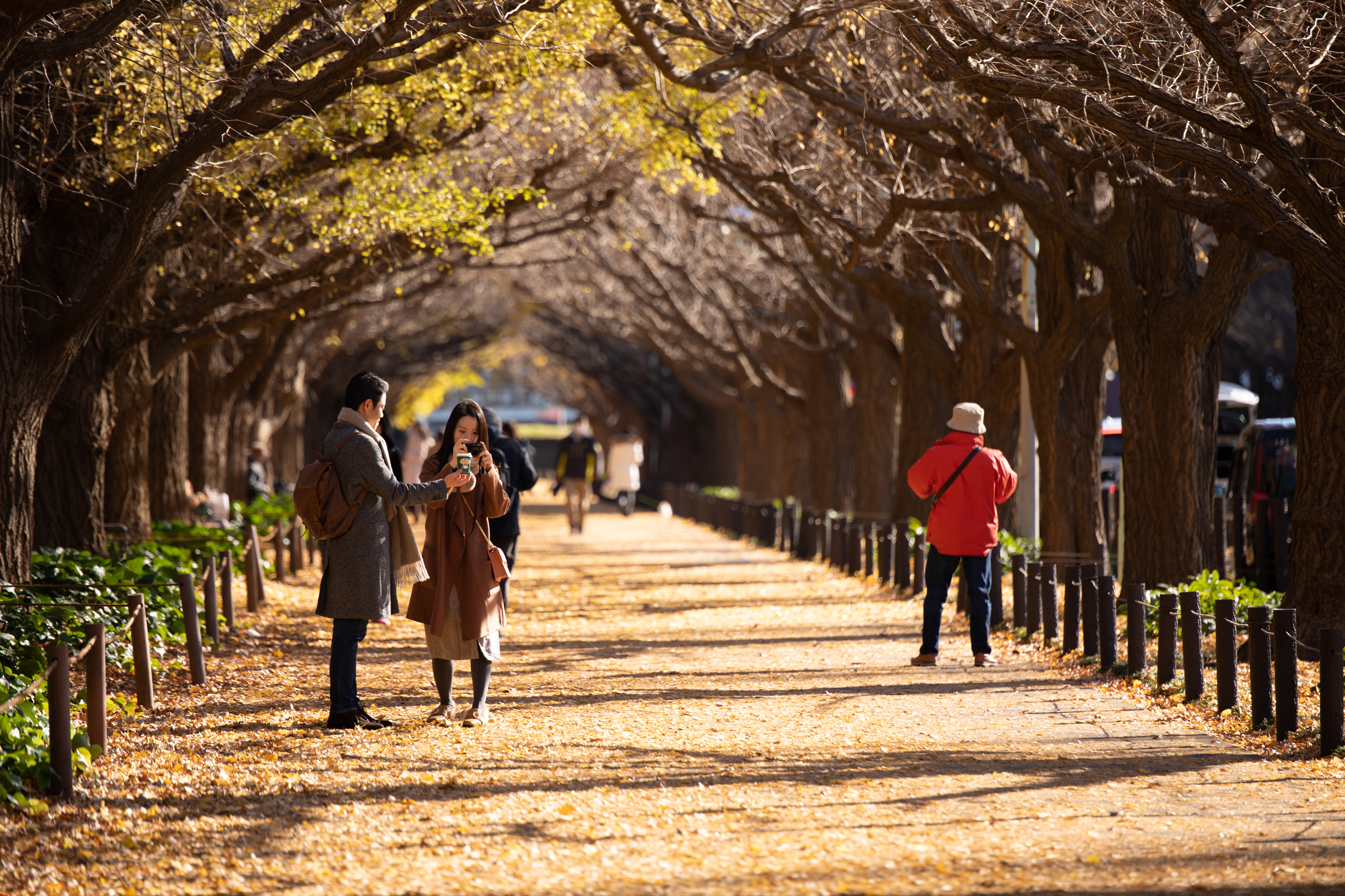 SIGMA 70-200mm F2.8 DG OS HSM Sports EFよろしくお願いします