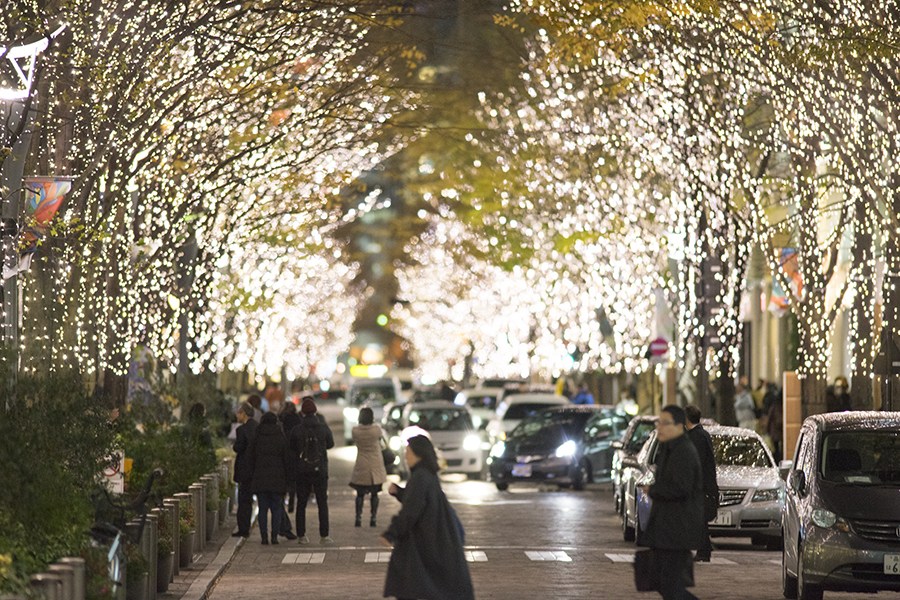 SONY α7II × Canon FD300mm F2.8 S.S.C.